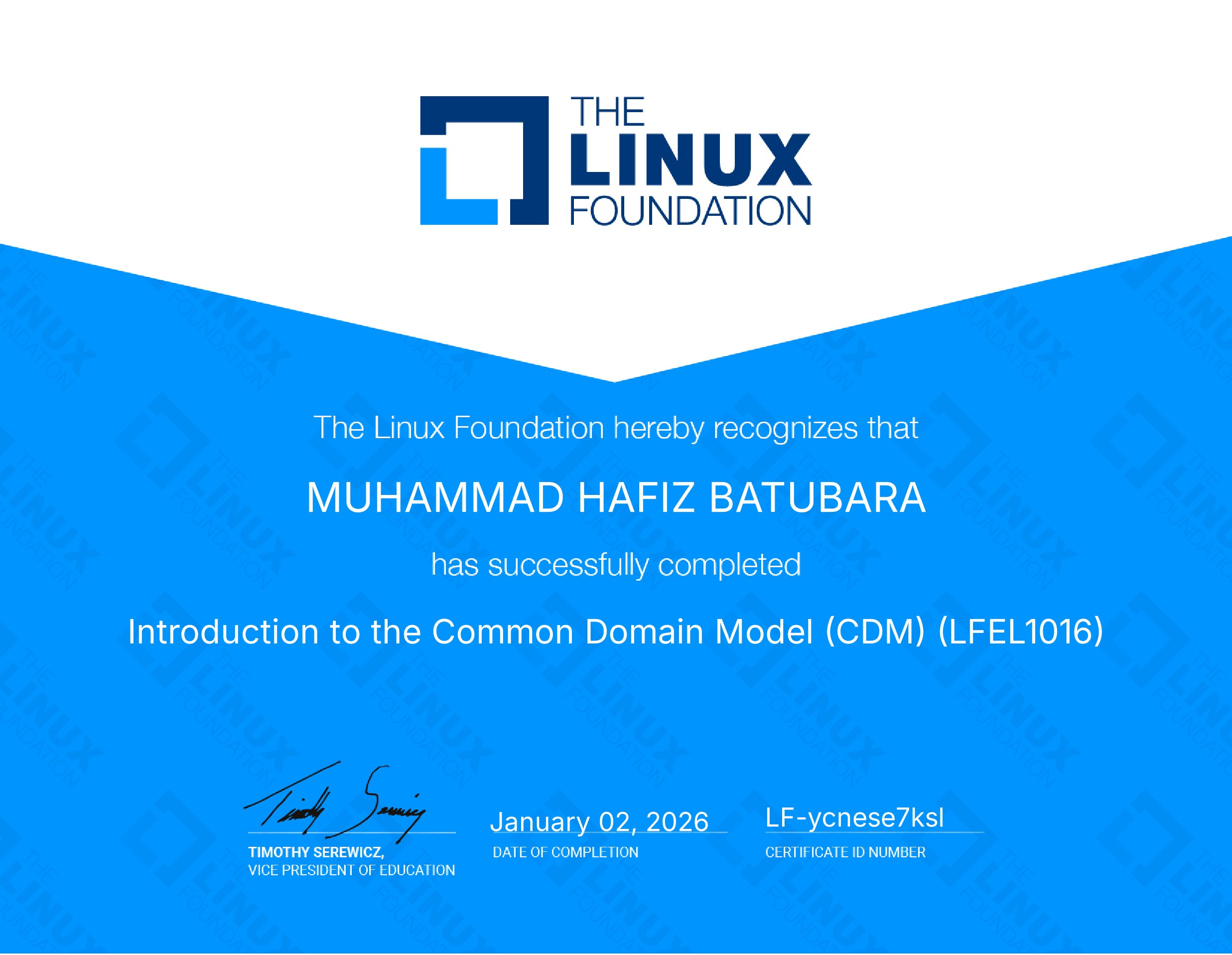 Introduction to the Common Domain Model (CDM) (LFEL1016)